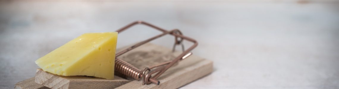 mouse-trap-g5e0119c8a_1920